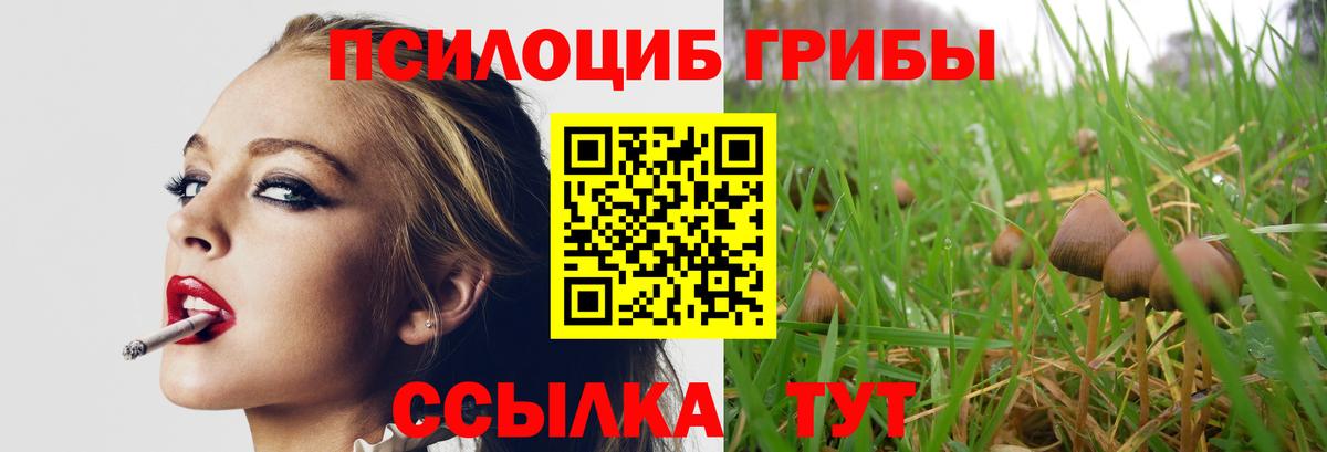 Галлюциногенные грибы GOLDEN TEACHER  Вход с VPN  Лениногорск 